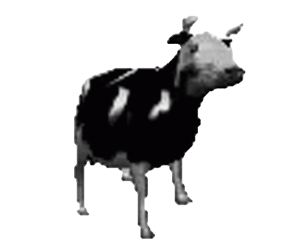 Cow animation